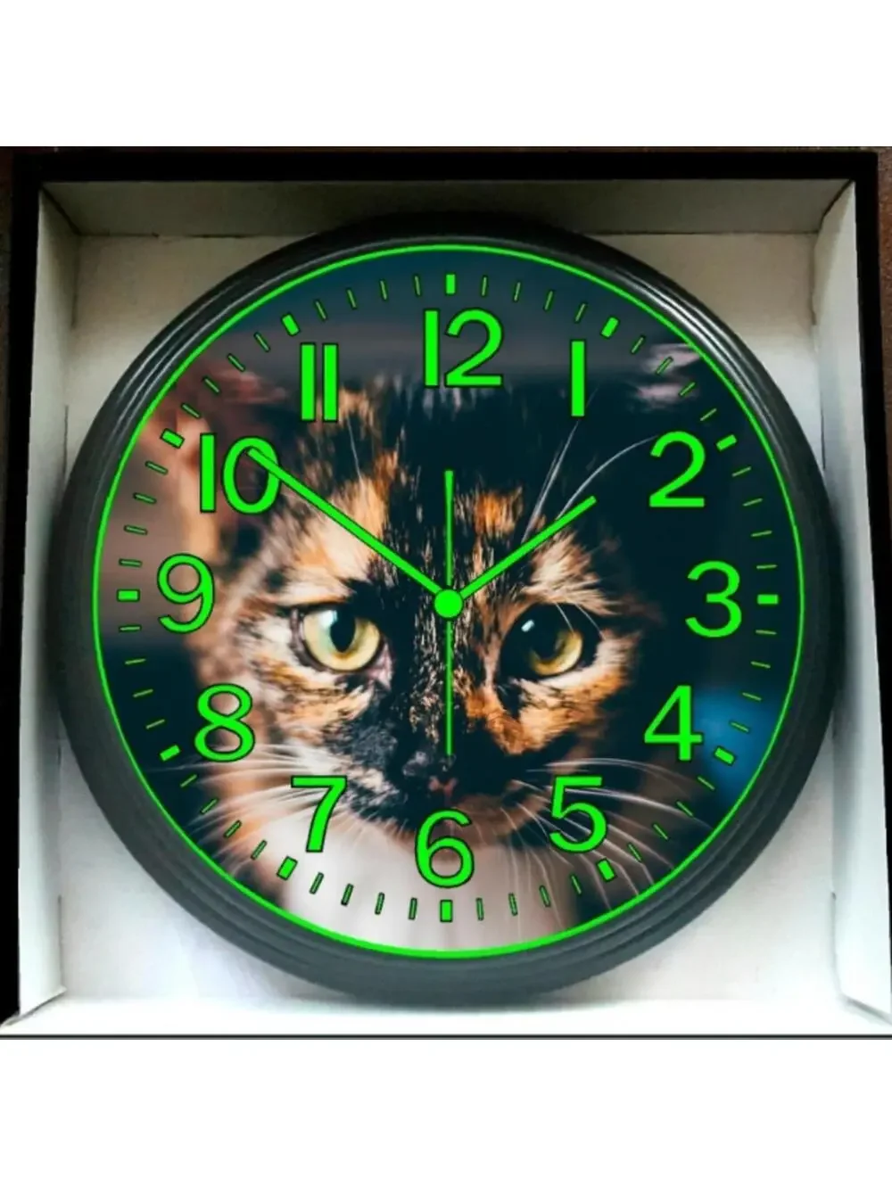 Cat Glow in the Dark Wall Clock Living room pet Wall Clock